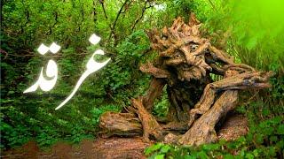 Gharqad ka darakht | reality of gharqad tree in Israel | Tree of jews | Amber Voice | Urdu Hindi |