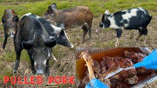 Trapping Wild Pigs In Louisiana (Catch & Cook) Cooked BBQ Pulled Pork