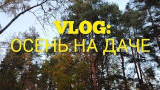 ОСЕННИЙ VLOG: ВЫХОДНЫЕ НА ДАЧЕ