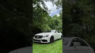 Join our CLSFANS community by sharing your CLS photos and videos using #clsfans. White lizard aler
