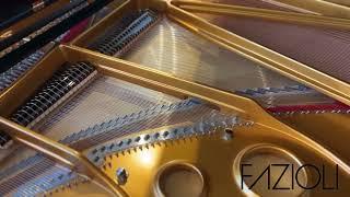FAZIOLI Pianos at Northwest Pianos