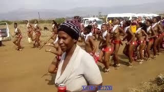 Swaziland: virgin girls entertaining king Mswati III