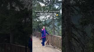 Herkesin para biriktirip gittiği yer 