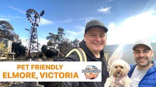 Elmore Victoria / Pet-Friendly Camping Victoria / Easy Camp Cooking / One-Pot Camp Cooking