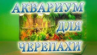 Аквариум для черепахи красноухой. Содержание черепахи в домашних условиях.