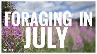 Foraging in July (Part 1 of 2) - UK Wildcrafts Foraging Calendar