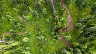 Sun Peaks Bike Park = Progression and Variety || Kamloops, BC