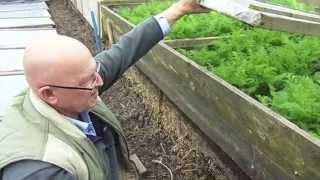 Jack First - Grow Very Early Vegetables With Hot Beds