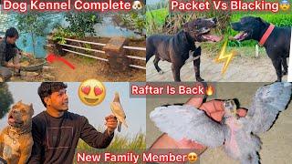 Finally Raftar Is Back AgainNew Family Member Aagya|| Chota Packet Or Balcking Ki Power Test Ki