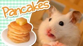  Pancakes | HAMSTER KITCHEN 