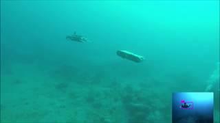 Underwater Multi-Robot Convoying using Visual Tracking by Detection