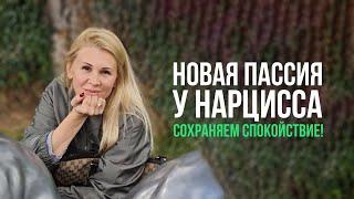 Если у Нарцисса появилась  "новая" пассия. Сохраняйте спокойствие .