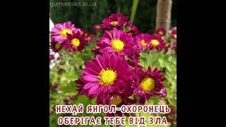 Гарне привітання з днем народження жінці   #вітання #деньнародження #іменини