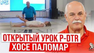 Хосе Паломар - метод P-DTR / Как Избавиться От Проблем в Теле НАВСЕГДА!