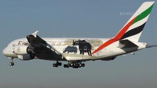 посадка A380 с носорогами A6-EER Emirates