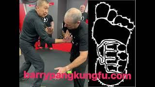 Wrist power in Wing Chun