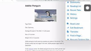 How to translate a webpage in the Chrome app on an iPad