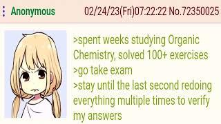 "Just study STEM, bro" - A Greentext Story