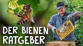 Bienen halten im eigenen Garten!  - Grundkenntnisse und Einführung in die Imkerei