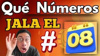 Los Números Que Atrae el 08 - Descubre los números que jala el 08