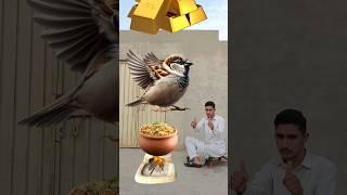 Sparrow&Gold Vfx Short  #funny #vfx #shorts #islamic #trending #10million #capcut