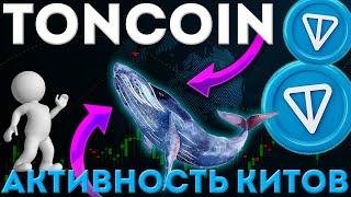 ВОЗРОСШАЯ АКТИВНОСТЬ TONCOIN КИТОВ! НОВАЯ ЦЕЛЬ TON! - ТОНКОИН НОВОСТИ