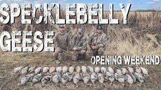 Arkansas Specklebelly Goose Hunt | Delta Thunder Outfitters