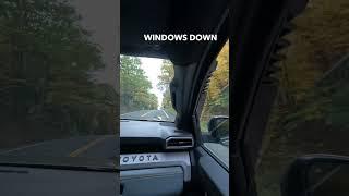 Toyota Tacoma Trailhunter: CRAZY Intake Sound