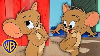 Jerry's Best Moments!  | Tom & Jerry | @wbkids