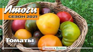 Томаты 2021. Итоги сезона