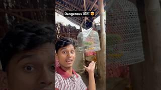 Dangerous Parrot  | #minivlog #vlog #ashortaday #parrot #funny