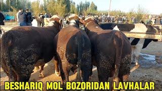 Beshariq mol bozori semiz boqma va yosh buqalar narhlari bilan tanishing 29.09.2024yil