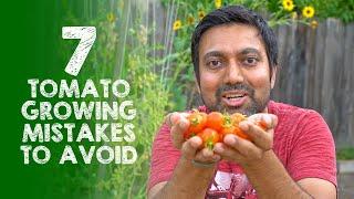 7 Tomato Growing Mistakes to Avoid