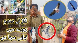 ناصر قصائی یہ کام کرلو لگڑ کبوتر کے آگے لگ کے بھاگے گا   | Nasir pigeon club  | Khokhar pigeon club