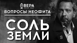 ЧТО ТАКОЕ «СОЛЬ ЗЕМЛИ»? | ИЕРОМОНАХ МАКАРИЙ (МАРКИШ) | ВОПРОСЫ НЕОФИТА | АЛЕКСАНДР АНАНЬЕВ |