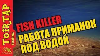 Мастер класс  'Fish Killer' от компании 'Toirtap' 2016. Master Class.