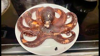 WILD FORAGED OCTOPUS - Catch Clean Cook ! Taste Test - Big Lobsters COASTAL FORAGING