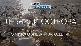 #КрымНеОчевидный:  Лебяжьи острова - государственный природный заповедник (село Портовое)