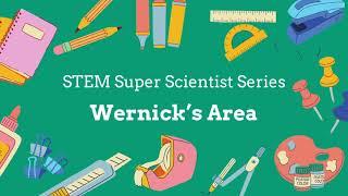  Wernicke’s Area Explained | The Brain & Language Comprehension ️