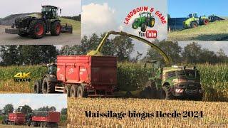 mais hakselen bij biogas Heede met John Deere 9900I  Kemper 490  XERION 4200 agrotruck  #4K