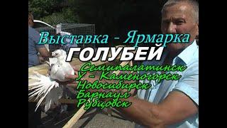 Выставка голубей и итоги . Семипалатинск 2019