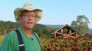 LFN #198 - Joel Salatin on Regenerating Land and Building Thriving Communities