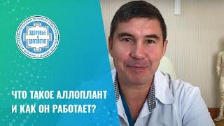  Что такое Аллоплант и как он работает?