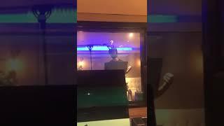 a new song in the works? | #shorts