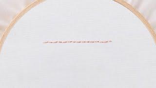 Embroidery 101: How to Embroider a Whipped Back Stitch