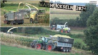 KRONE und CLAAS im TEAM - BigX 780 und Jaguar 960 im Mais - Lohnunternehmen Bücherl - Maisernte 2024