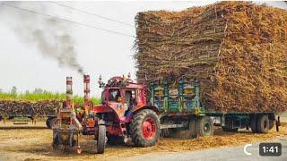 King of Belarus Mtz 50 power show pulled out Heavy Loaded Trailer sugarcane 