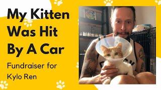 My kitten was hit by a car // Fundraiser for Kylo Ren