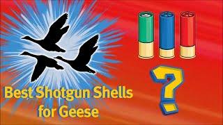 BEST SHOTGUN SHELL for GOOSE HUNTING