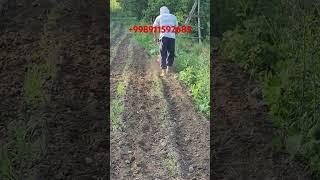 #полныйпривод #мтз82 #трактор #agroservis #automobile #asrbitavoytexnika #farming
